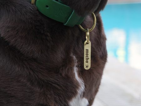 Brass Pet ID Tag | Custom Engraved Dog Tag for Pets Online Sale