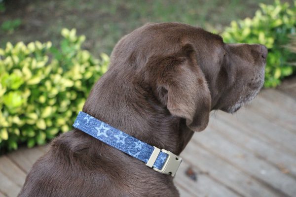 Star Printed Denim Dog Collar Fashion