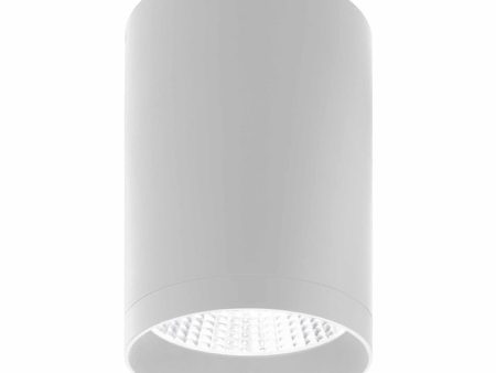 6  Ceiling Mount Cylinder Light, 2,625 Lumens, CCT & Wattage Selectable, 120-277V, White For Sale