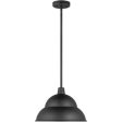 Barn Light 1 Light 14  Black Outdoor Pendant on Sale