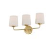 Bristol 3-Light Bath Vanity (Available in Black, Satin Brass, and Satin Nickel) Hot on Sale