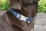 Star Printed Denim Dog Collar Fashion