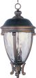 Camden VX 3-Light Outdoor Hanging Lantern on Sale