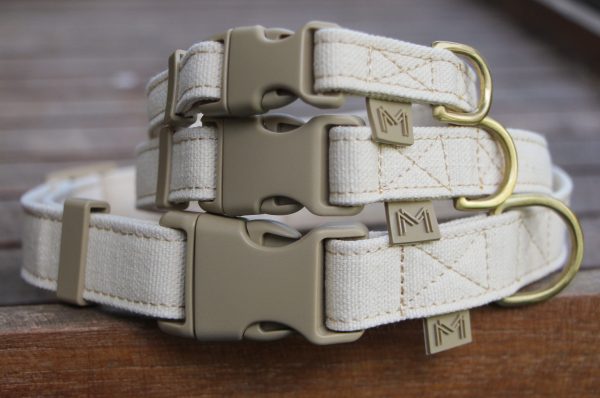 Organic Cotton Canvas Dog Collar on Sale