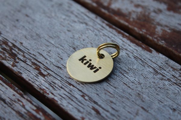 Round Brass Pet ID Tag | Personalized Engraved Dog Tag Fashion