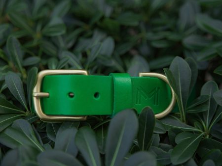 Personalized Green Leather Dog Collar Cheap